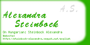 alexandra steinbock business card